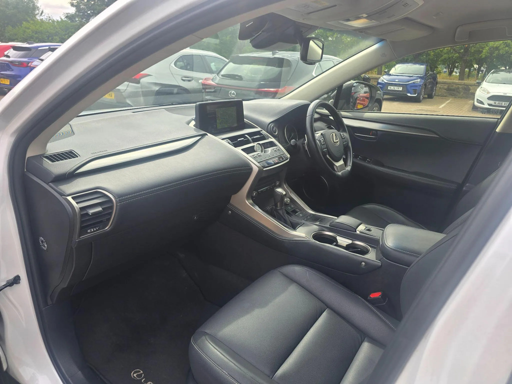Lexus NX Premium Pack Grey #12