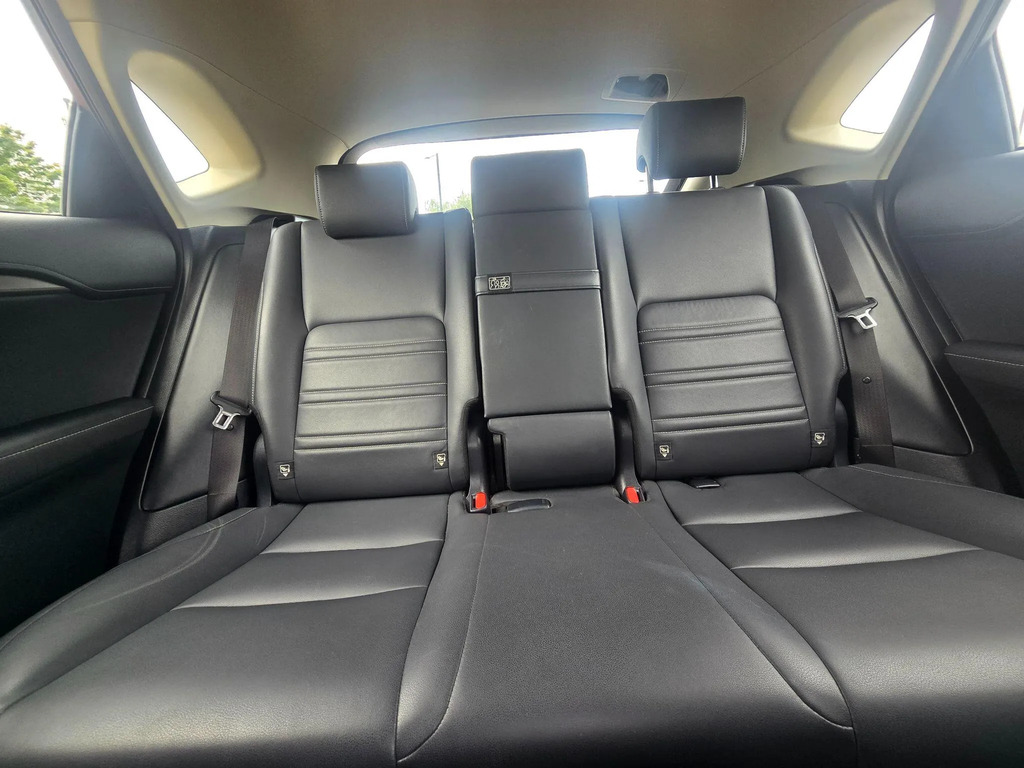 Lexus NX Premium Pack Grey #23