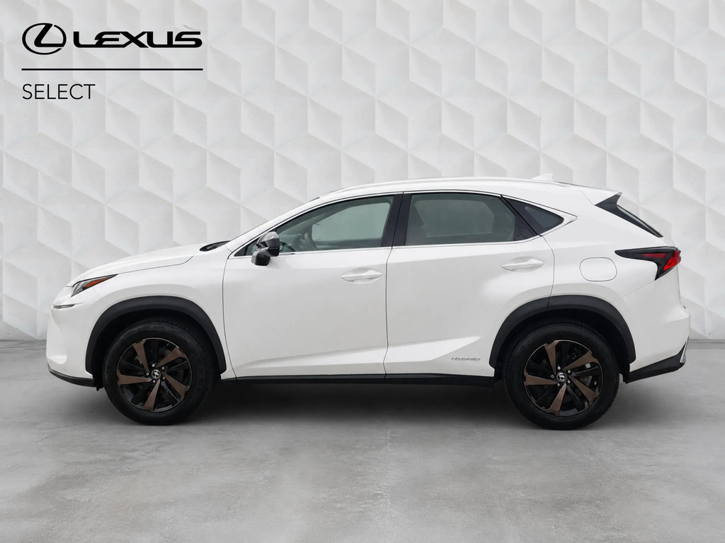 Lexus NX 2.5 300H Sport E-cvt 4Wd Euro 6 Ss  #6