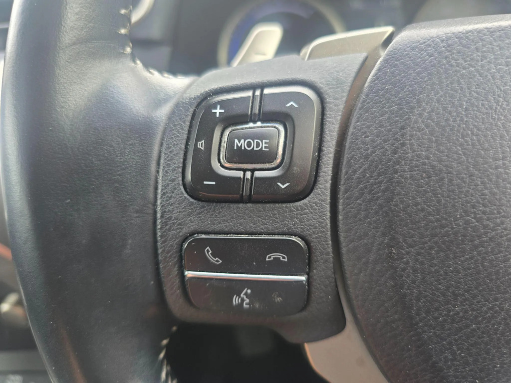 Lexus NX Premium Pack Grey #27