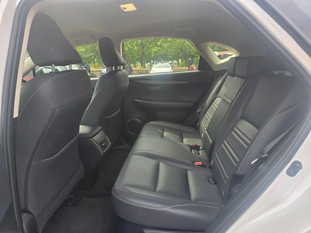 Lexus NX Premium Pack Grey #13