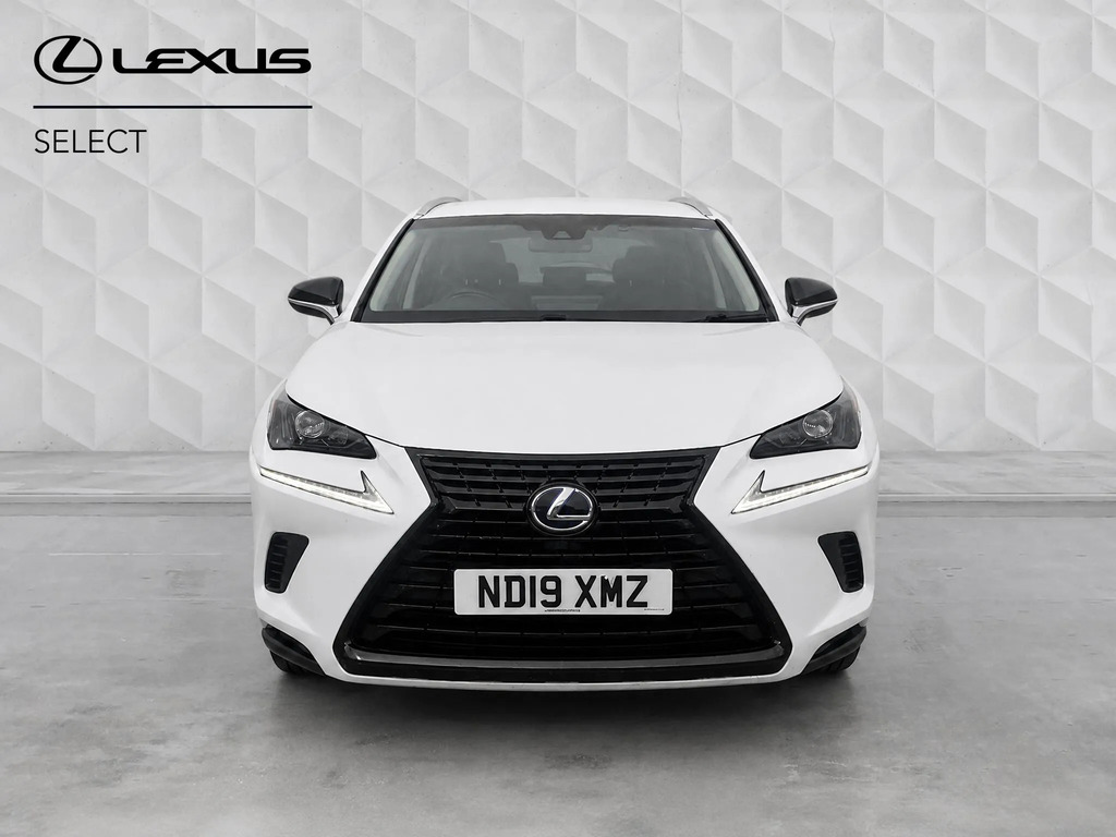 Lexus NX Premium Pack Grey #8
