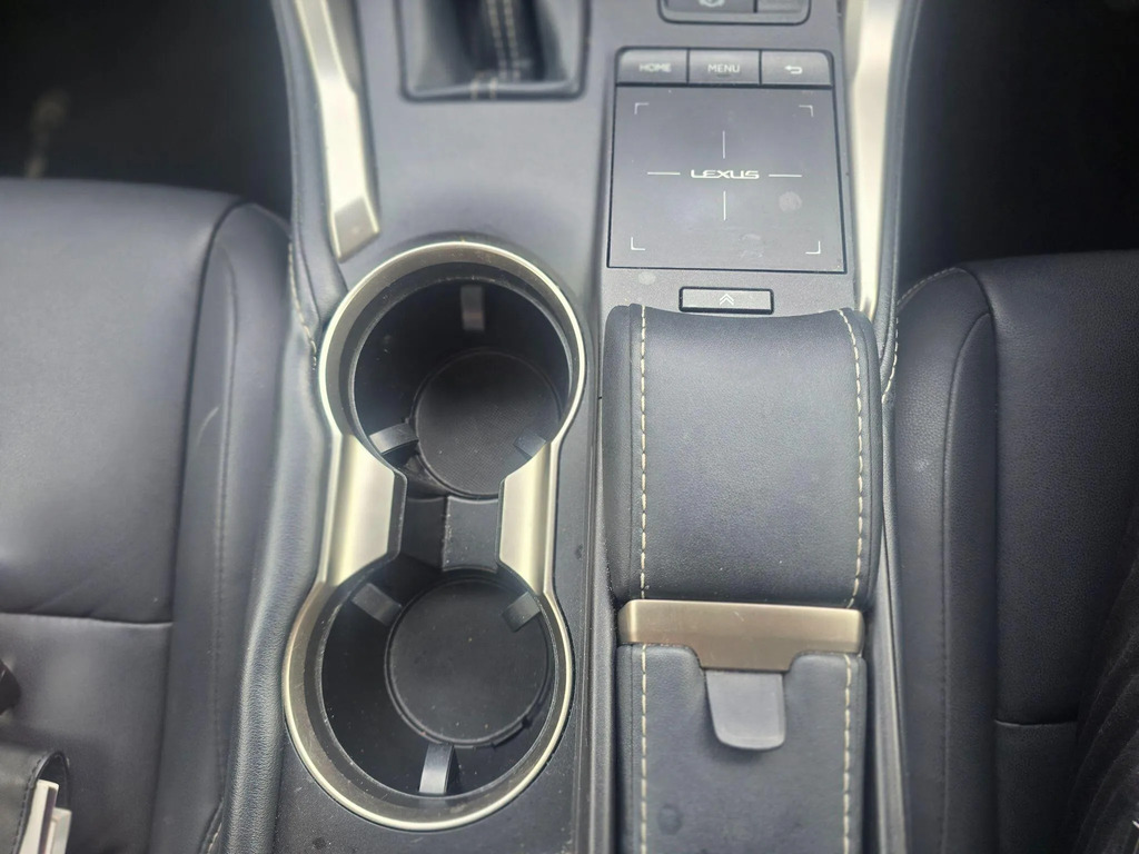 Lexus NX Premium Pack Grey #21