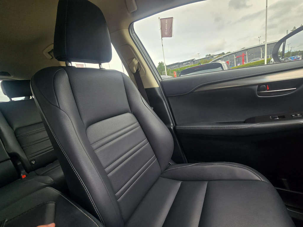 Lexus NX Premium Pack Grey #22
