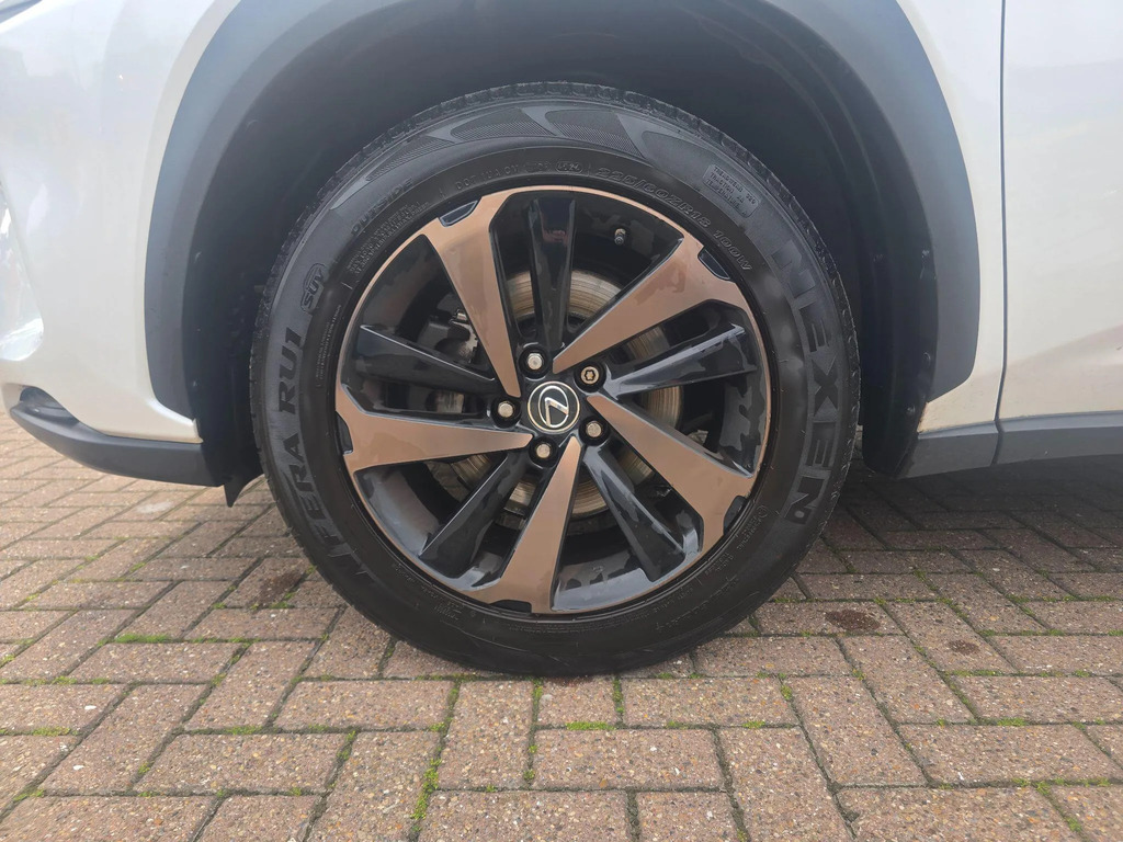 Lexus NX Premium Pack Grey #9