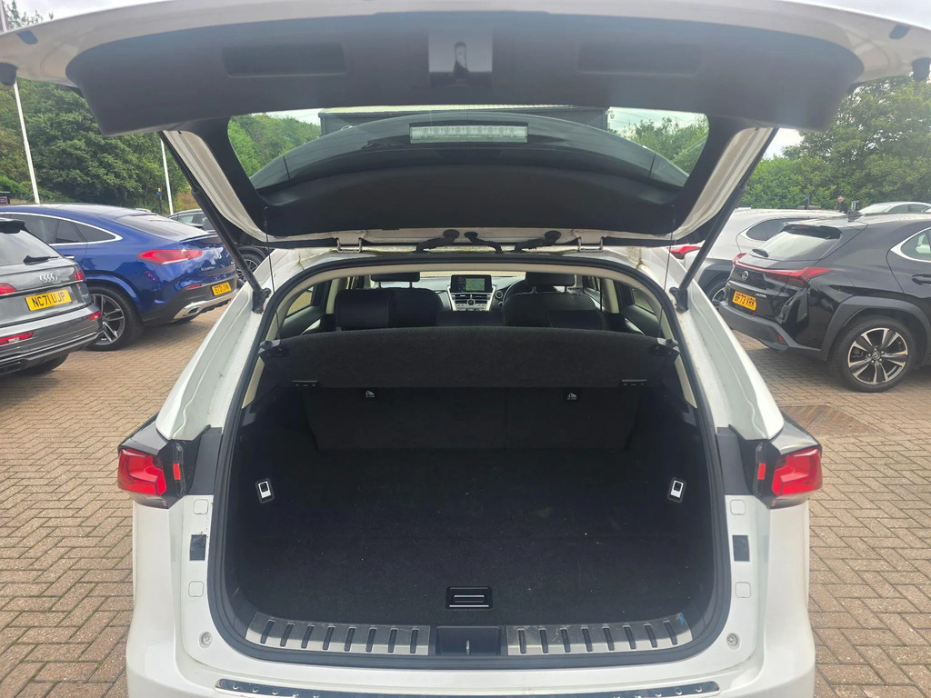 Lexus NX Premium Pack Grey #10