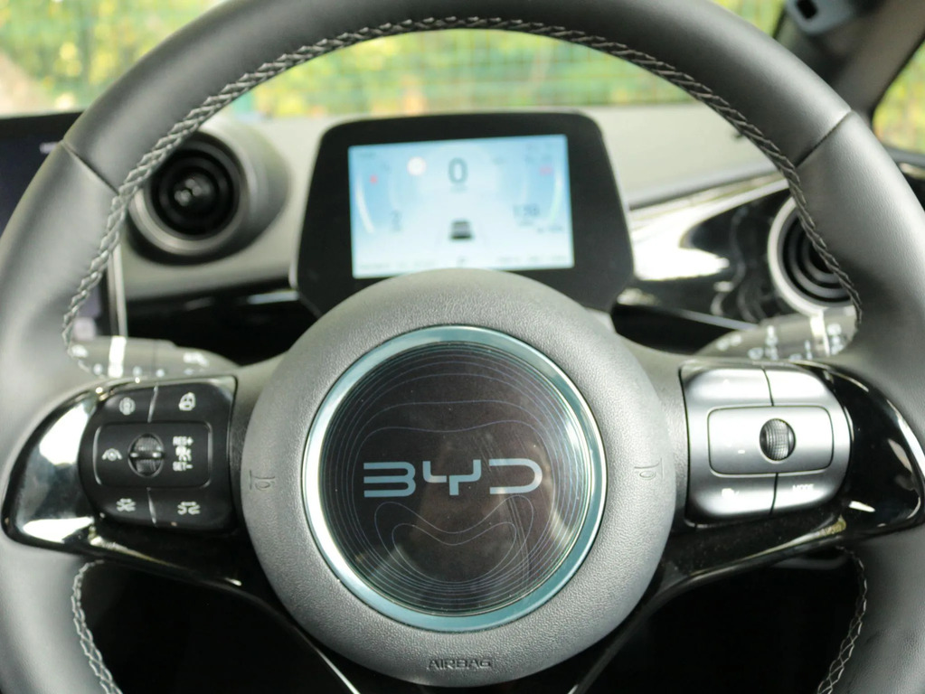 Byd Dolphin Active White #16