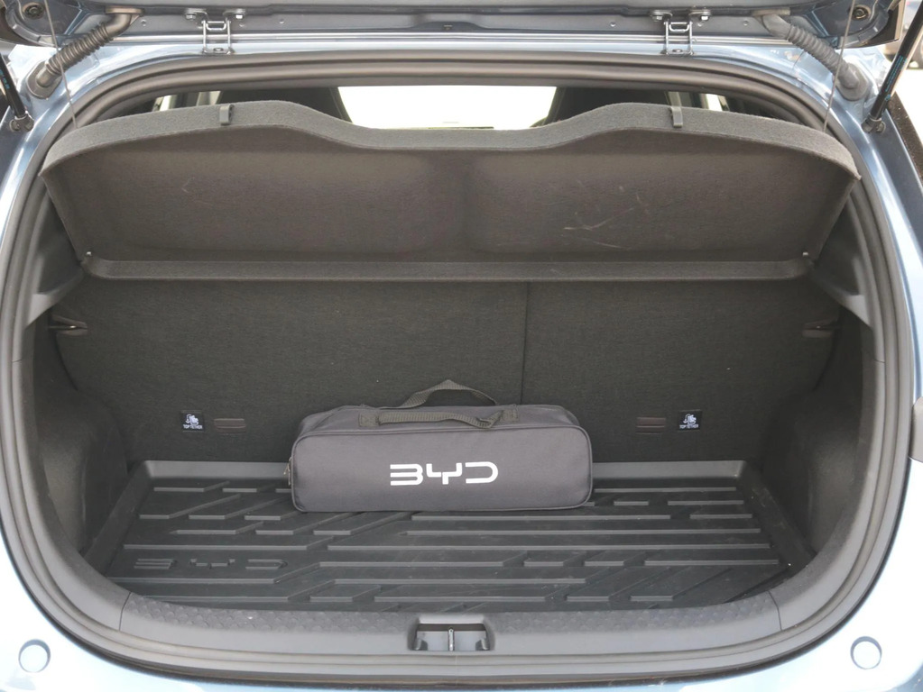 Byd Dolphin Active White #11