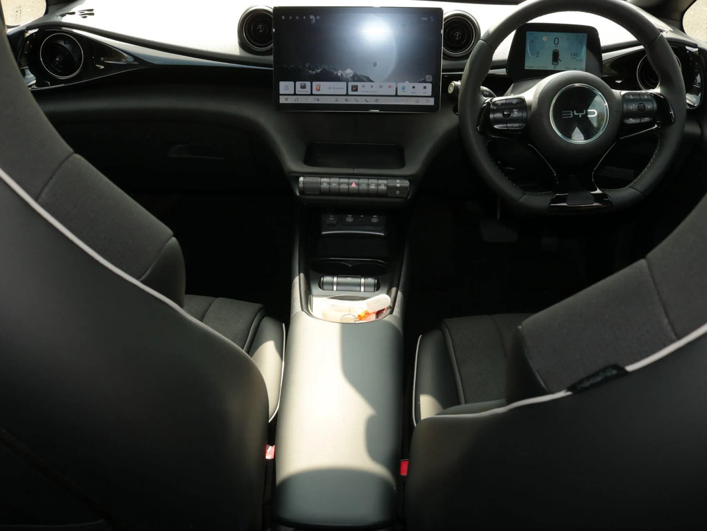 Byd Dolphin Active White #13