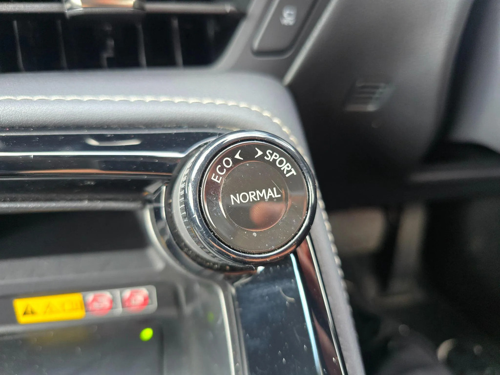 Lexus NX Premium Plus Blue #26