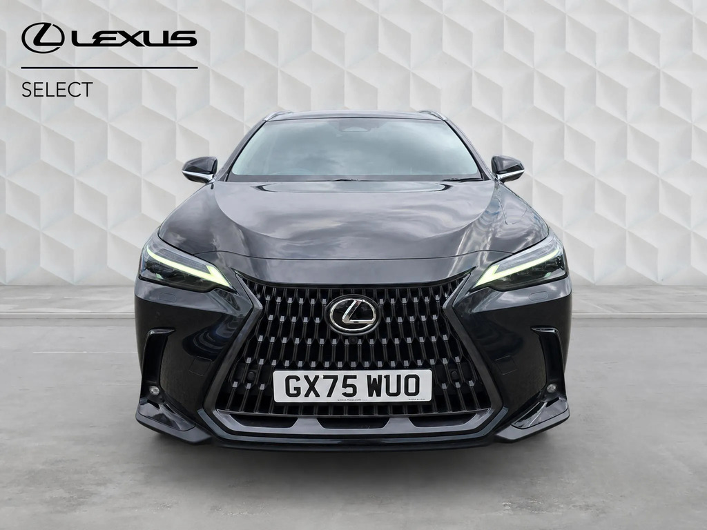 Lexus NX Premium Plus Blue #8
