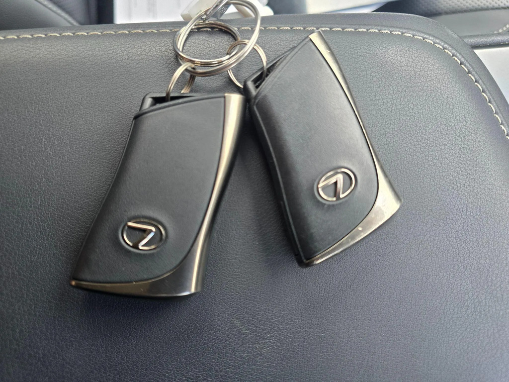 Lexus NX Premium Plus Blue #38