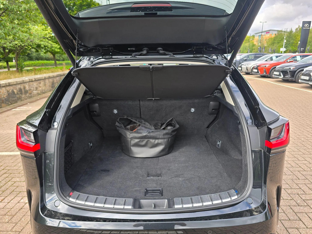 Lexus NX Premium Plus Blue #10