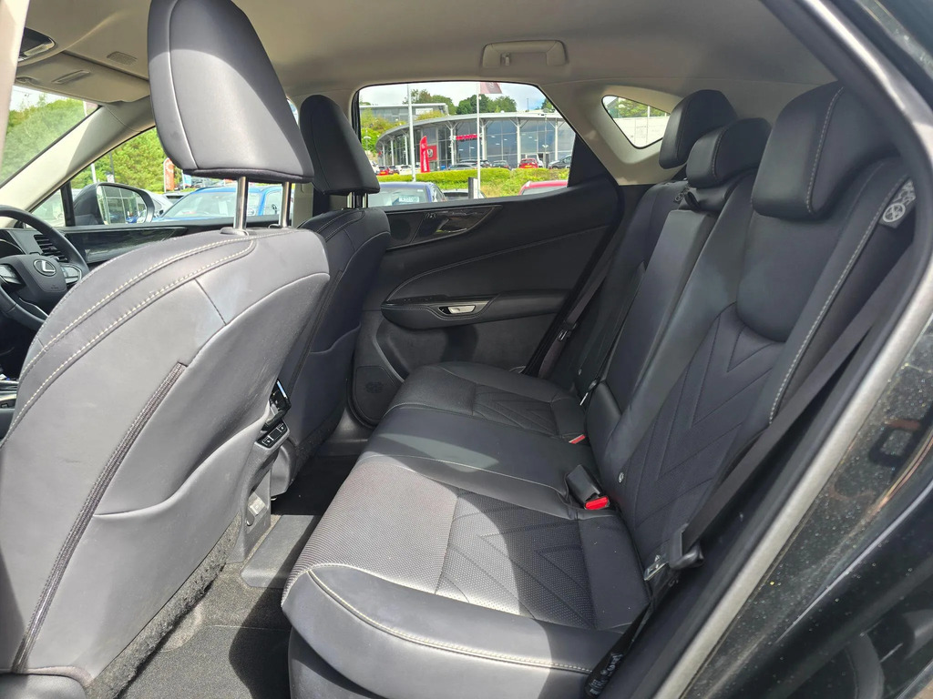 Lexus NX Premium Plus Blue #15