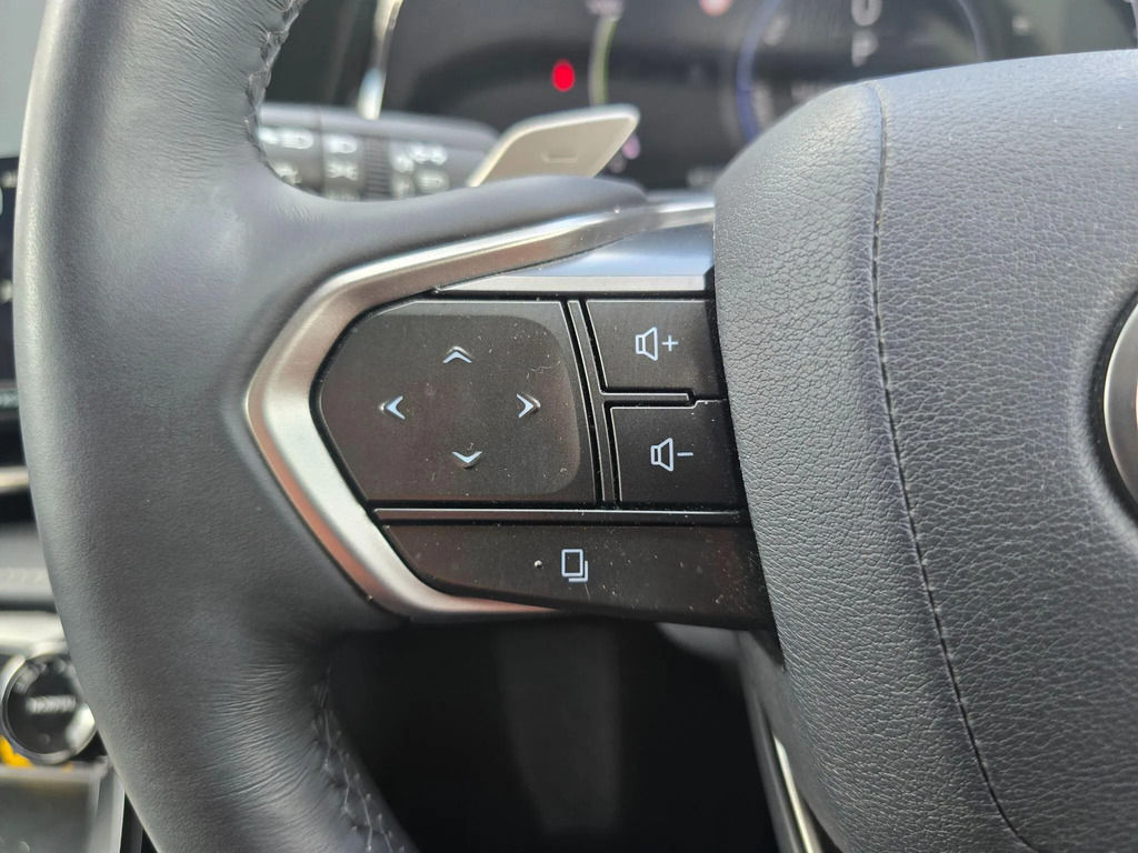 Lexus NX Premium Plus Blue #29