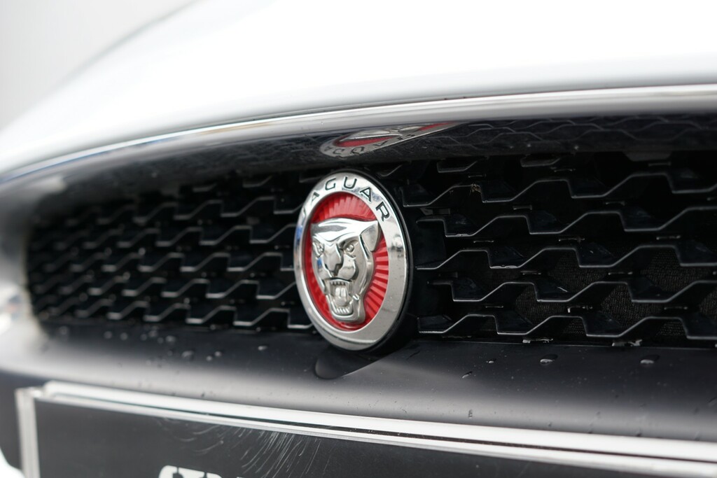 Jaguar F-Type 3L Null White #20