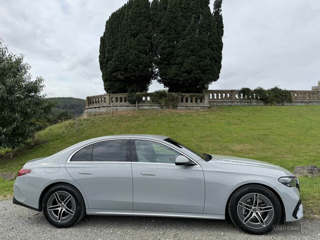 Mercedes-Benz E Class E220d Amg Line 9G-tronic Grey #2