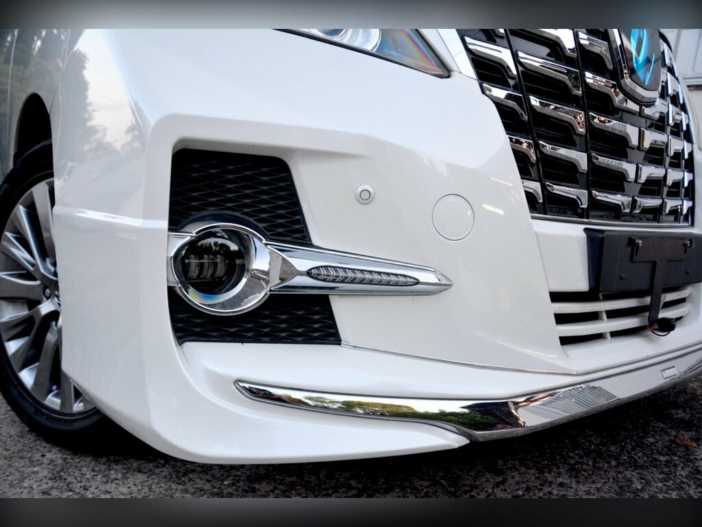 Toyota Alphard Petrol White #18