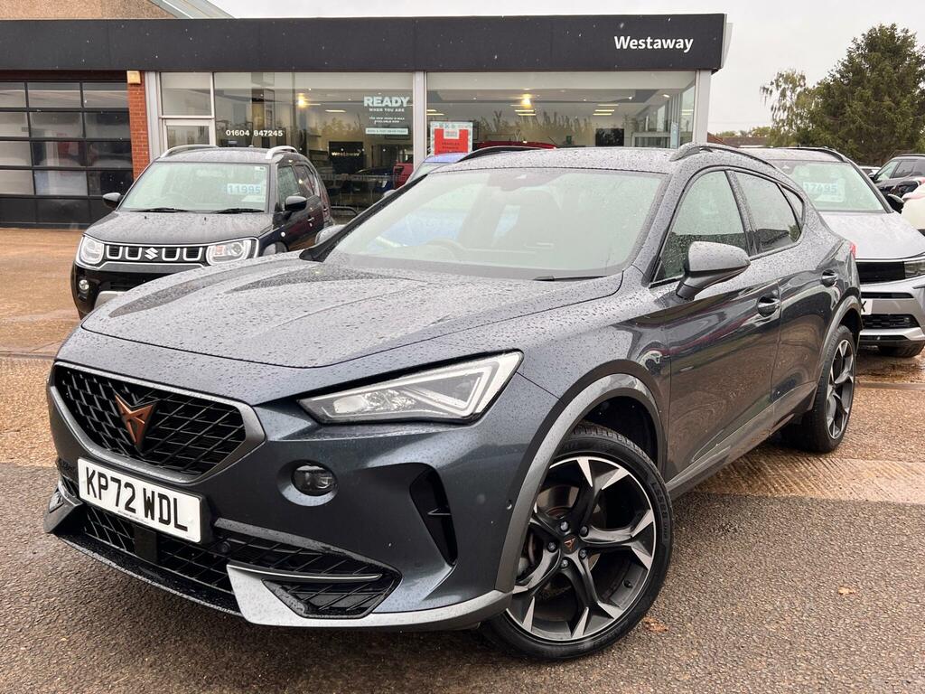 Cupra Formentor 1.5 Tsi 150 V2 Grey #6