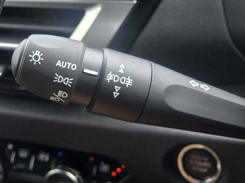 Citroen C4 Max E-dcs6 #39