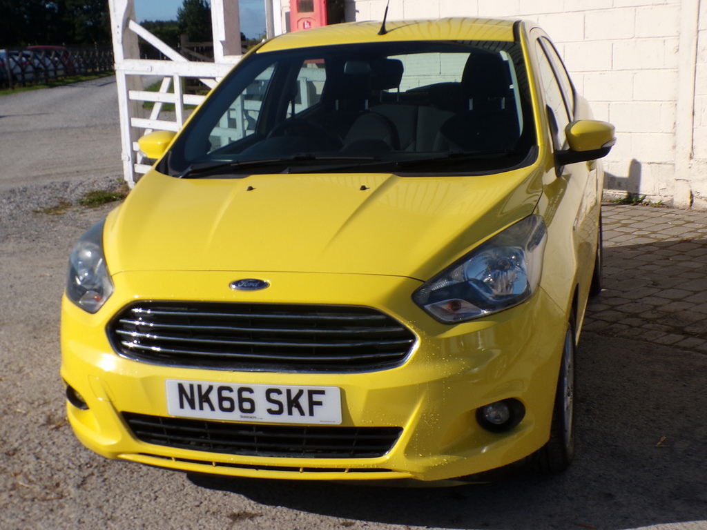 Ford KA+ Ti-vct Zetec NK66SKF Yellow #2