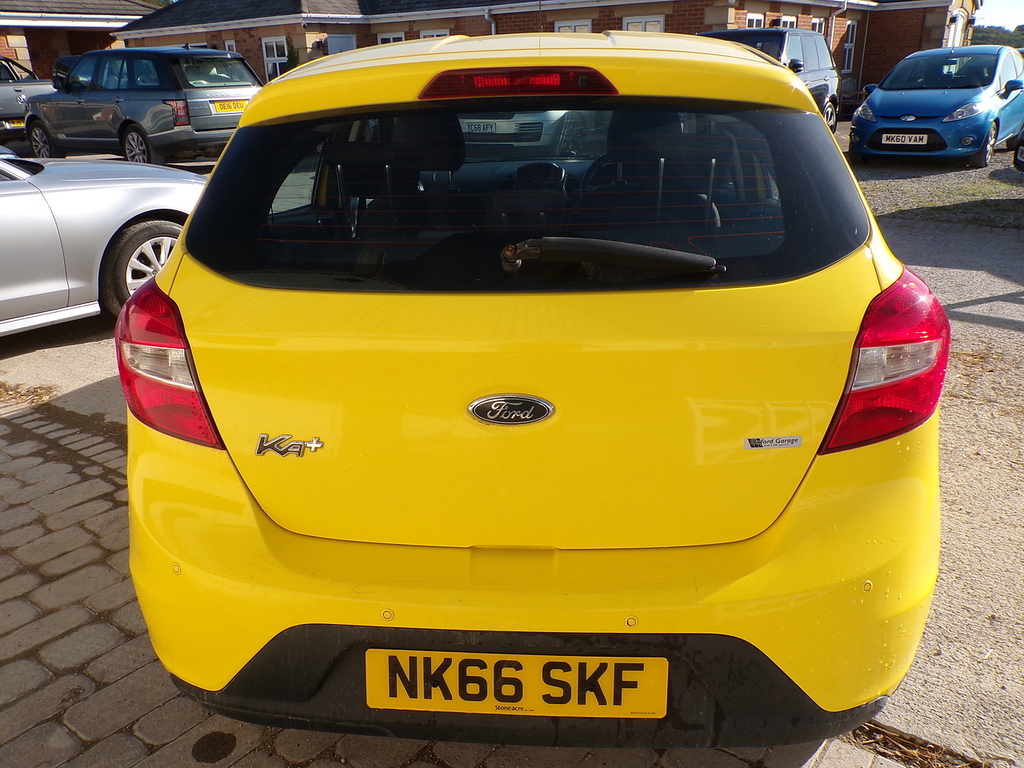 Ford KA+ Ti-vct Zetec NK66SKF Yellow #4