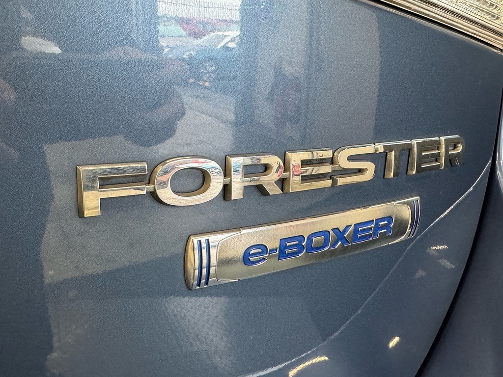 Subaru Forester Suv White #9