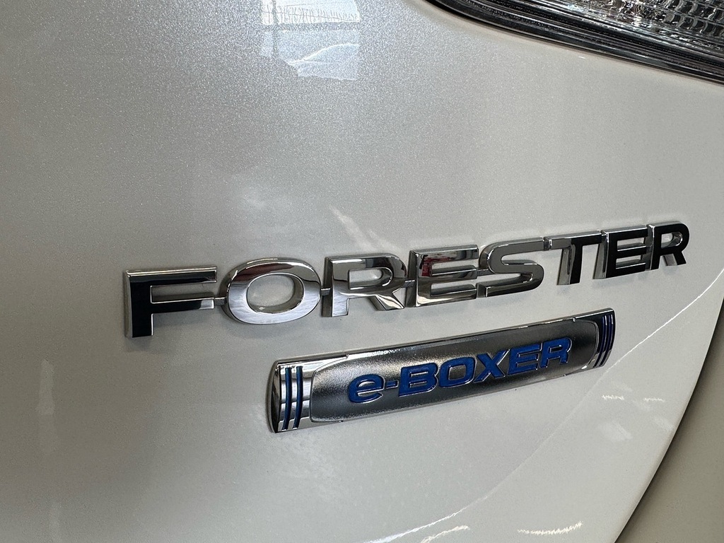 Subaru Forester Suv Silver #9