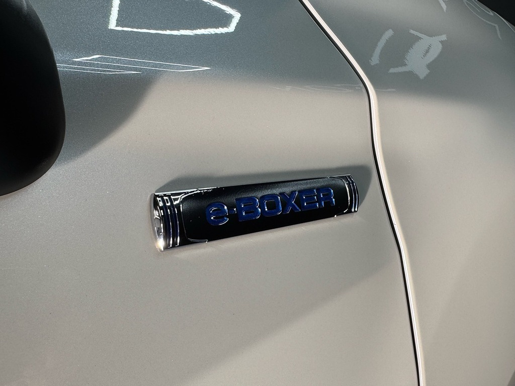 Subaru Forester Suv Silver #15