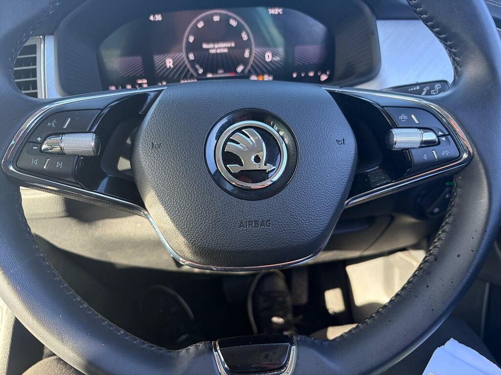 Skoda Kodiaq Se L Executive Grey #24