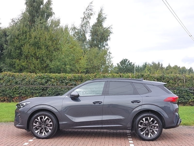 Cupra Terramar 2.0 Tsi 204 V1 Dsg 4Drive Grey #3