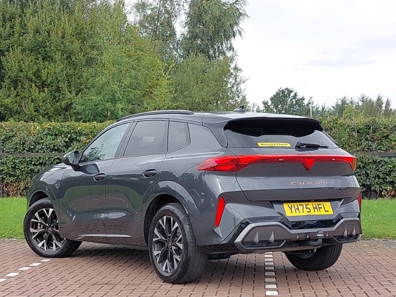 Cupra Terramar 2.0 Tsi 204 V1 Dsg 4Drive Grey