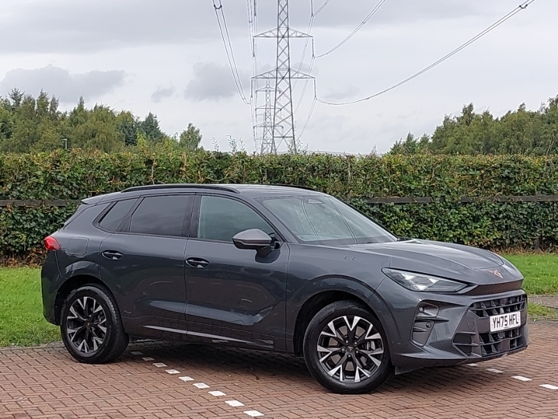 Cupra Terramar 2.0 Tsi 204 V1 Dsg 4Drive Grey #6
