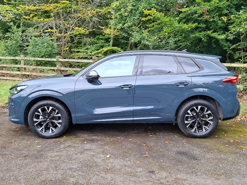 Cupra Terramar 1.5 Etsi 150 V1 Dsg Blue #4