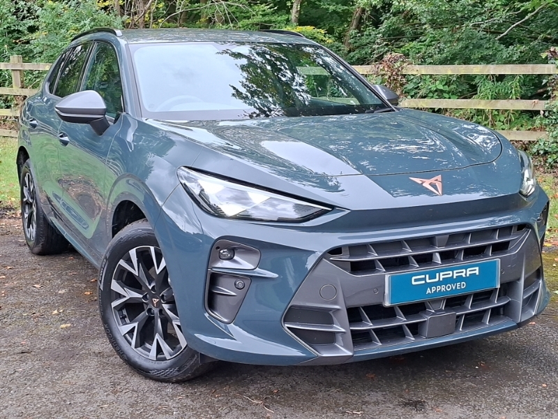 Cupra Terramar 1.5 Etsi 150 V1 Dsg Blue