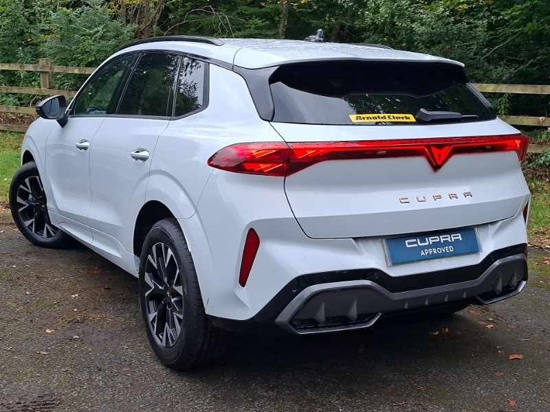 Cupra Terramar 2.0 Tsi 204 V1 Dsg 4Drive White #2