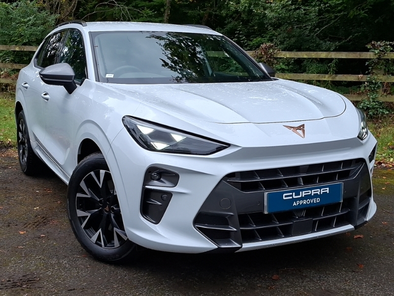 Cupra Terramar 2.0 Tsi 204 V1 Dsg 4Drive White