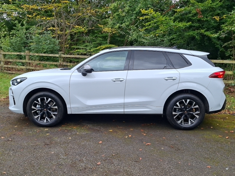 Cupra Terramar 2.0 Tsi 204 V1 Dsg 4Drive White #4