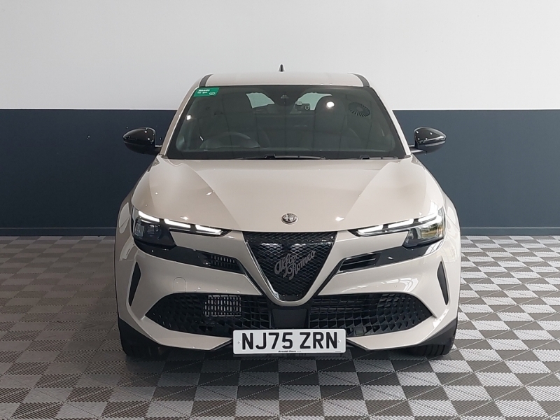 Alfa Romeo Junior Speciale Black #14