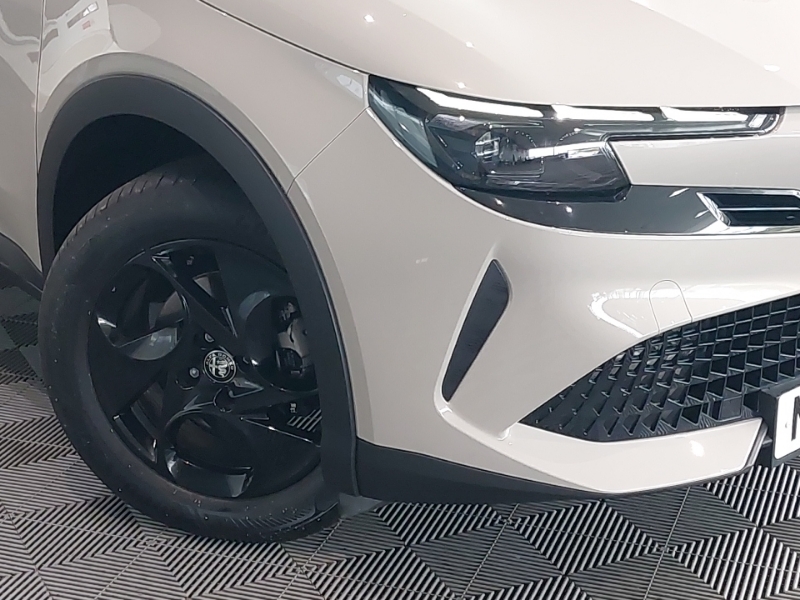 Alfa Romeo Junior Speciale Black #20