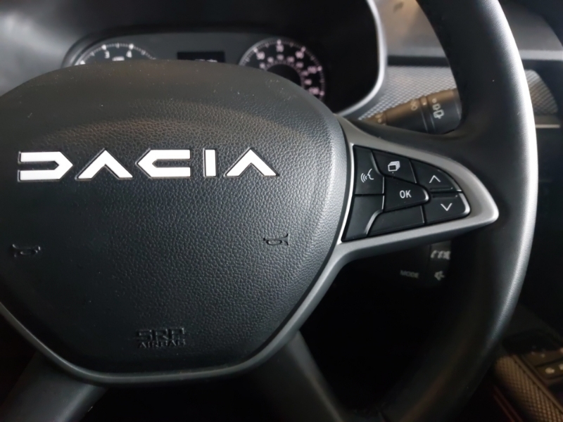 Dacia Sandero Stepway Hatchback Grey #13