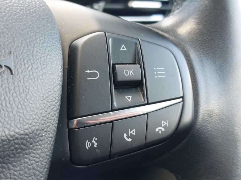 Ford Focus 1.5 Ecoblue 120 Grey #13