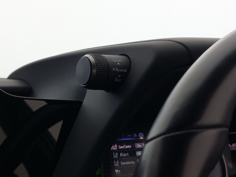 Lexus UX Premium Plus Black #17