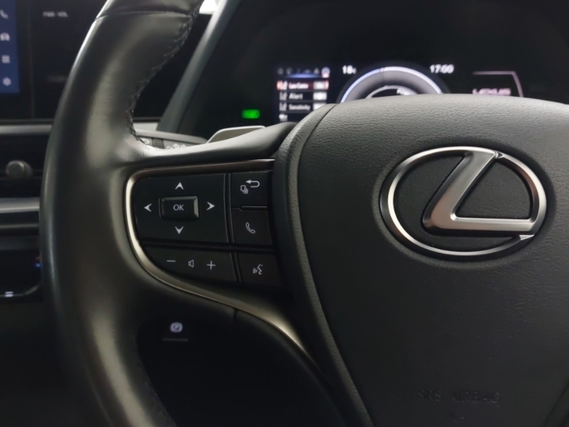 Lexus UX Premium Plus Black #12