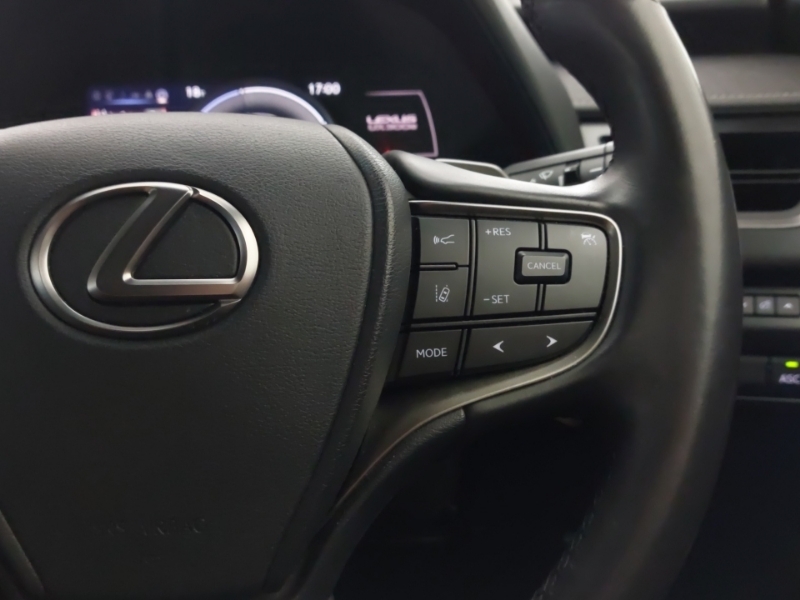 Lexus UX Premium Plus Black #13