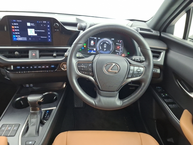 Lexus UX 300E Black #8