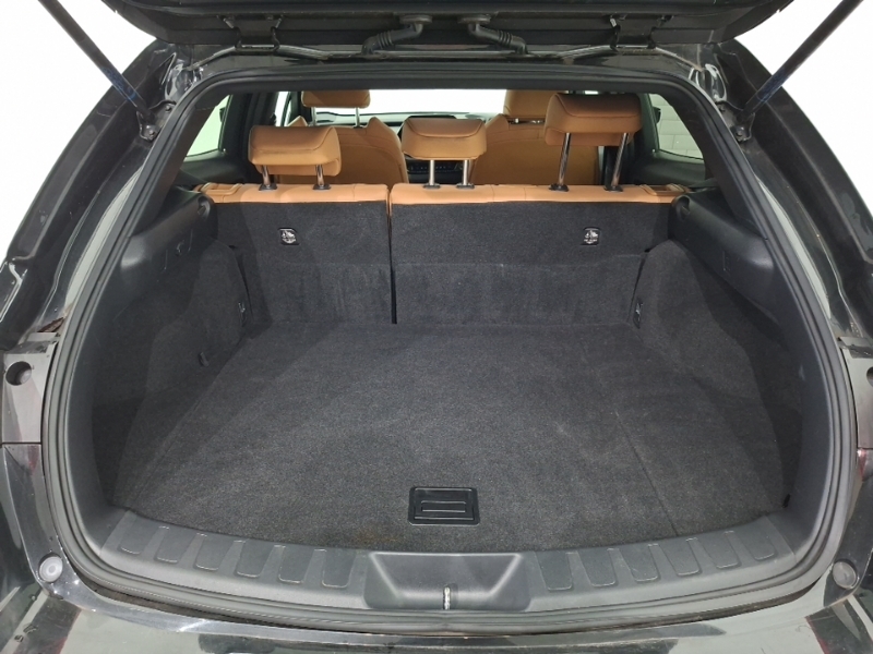 Lexus UX 300E Black #18