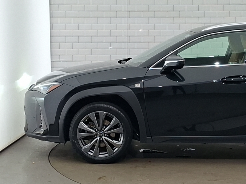 Lexus UX 300E Black #19
