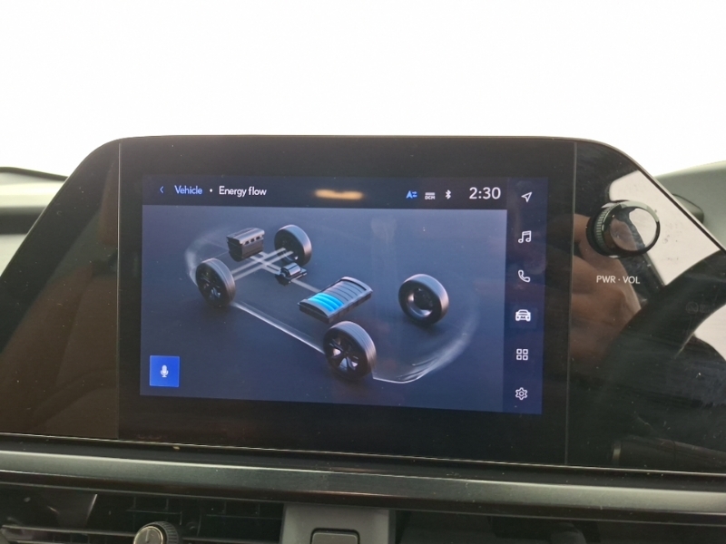 Lexus UX 300E Black #10