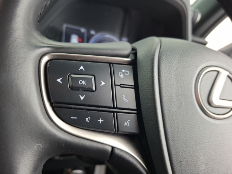 Lexus UX 300E Black #12
